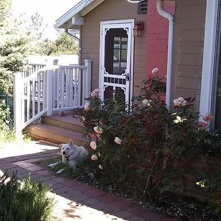 Blue Bird Cottage - Pet Friendly Julian Esterno foto