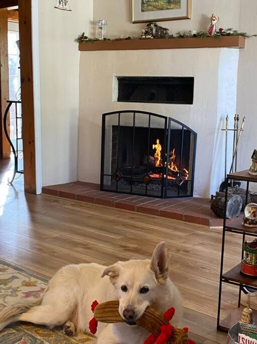Blue Bird Cottage - Pet Friendly Julian Esterno foto