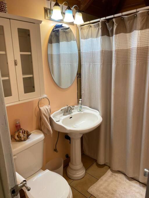 Blue Bird Cottage - Pet Friendly Julian Esterno foto