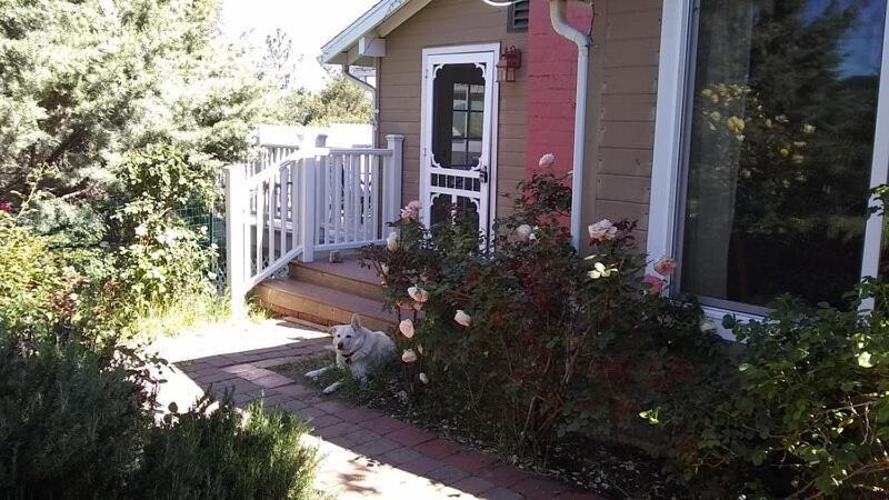 Blue Bird Cottage - Pet Friendly Julian Esterno foto
